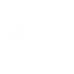 Logo GAES