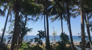 volunteerbali